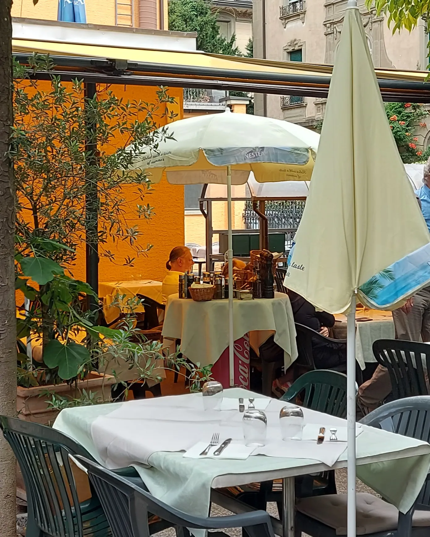 Terrasse des Casa d'Italia Bern unter schattenspendenden Kastanienbäumen